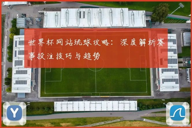 世界杯网站玩球攻略：深度解析赛事投注技巧与趋势