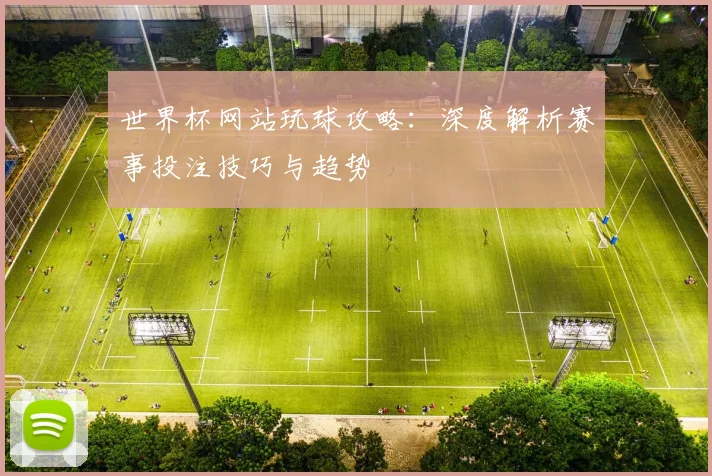 世界杯网站玩球攻略：深度解析赛事投注技巧与趋势