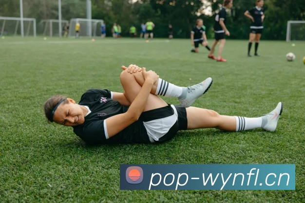 乐竞体育首页官网平台生态图